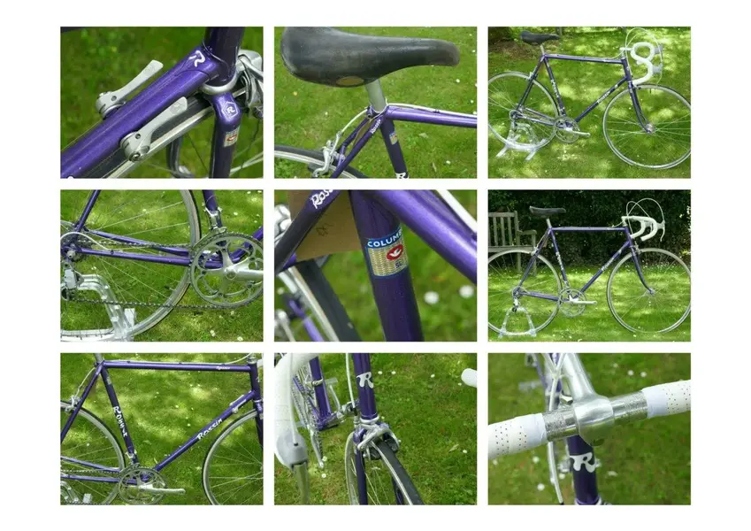 Rossin Purple nine_pics_Renamed_by_IWS.webp