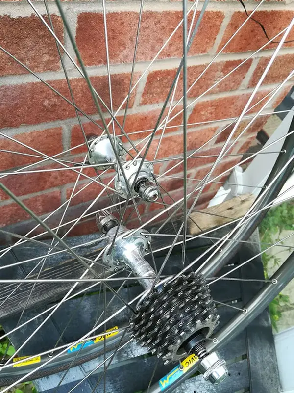 campag wheels 1.webp