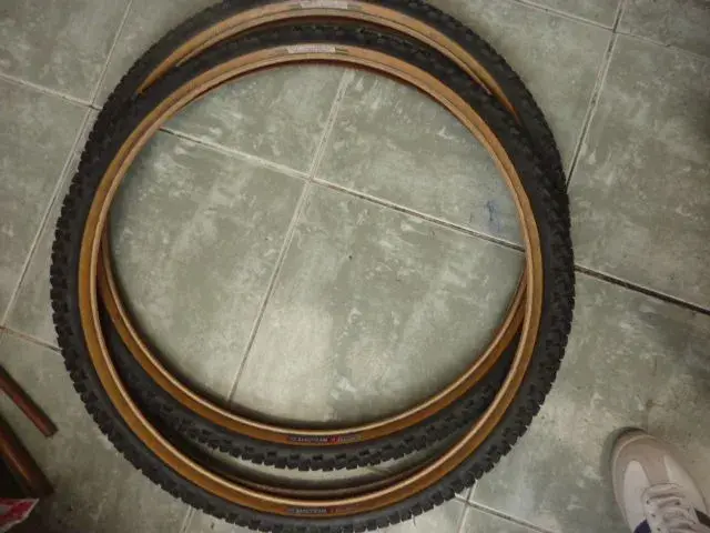P1060039.webp