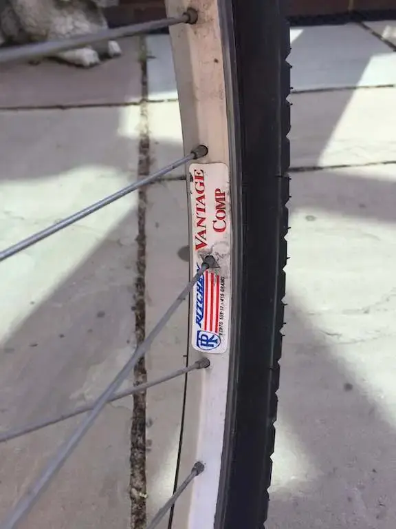 Wheel.webp