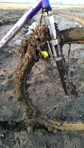 IMAG2576_zpsuybde8ta.webp