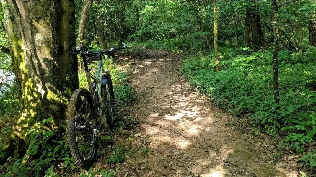 HittingTheTrails.webp