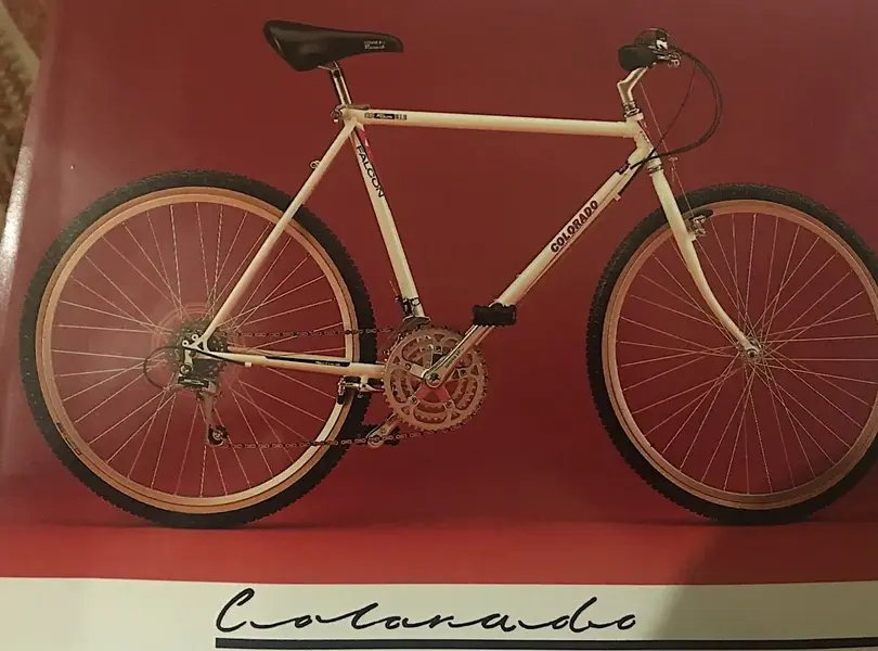 A65CC63E-9FFB-4C30-BC02-CAAC2924E131.webp