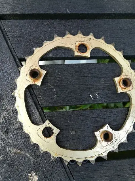 pace ring.webp