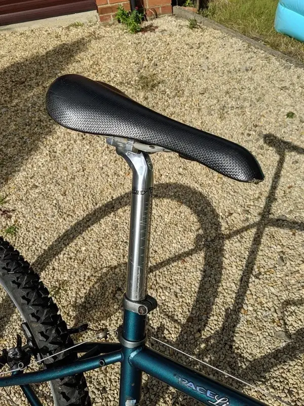 Saddle.webp