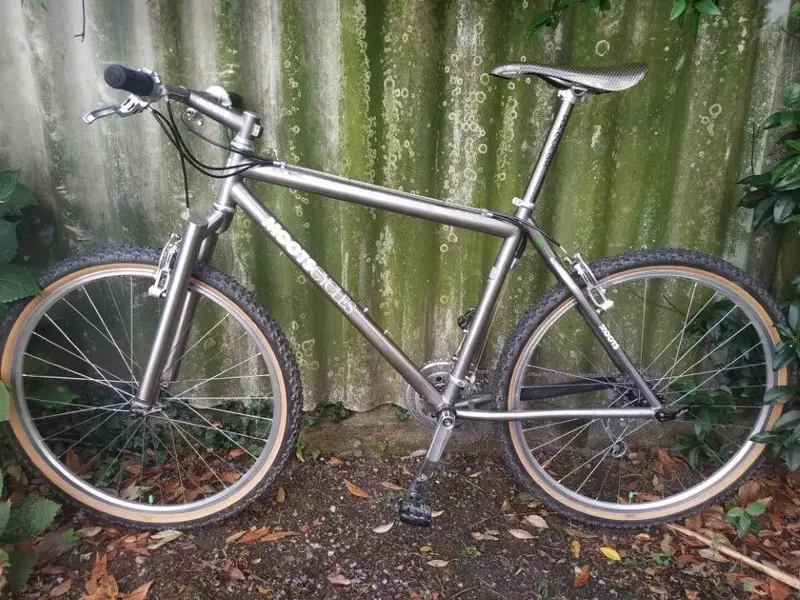 moots rigormootis5.webp