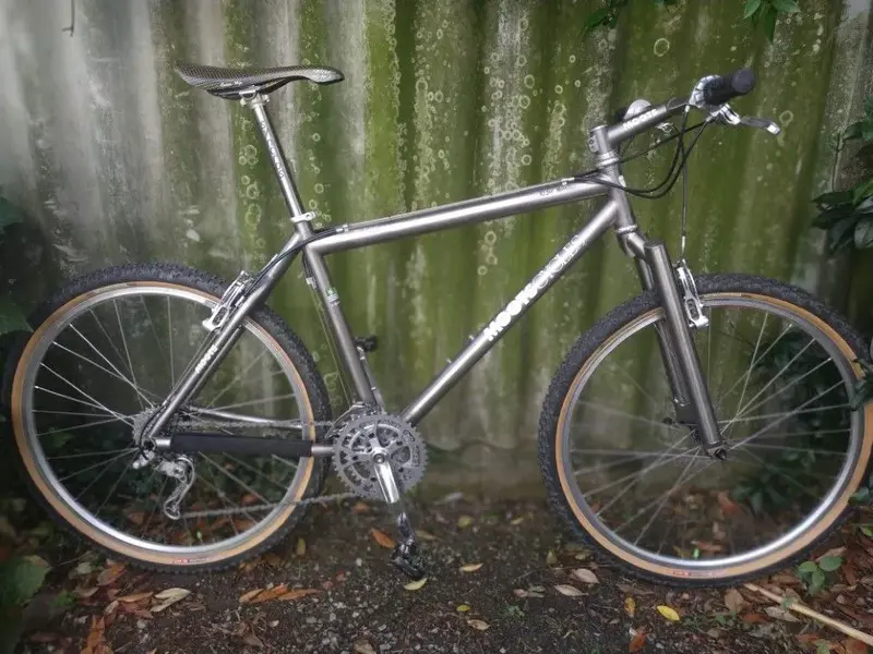 moots rigormootis13.webp