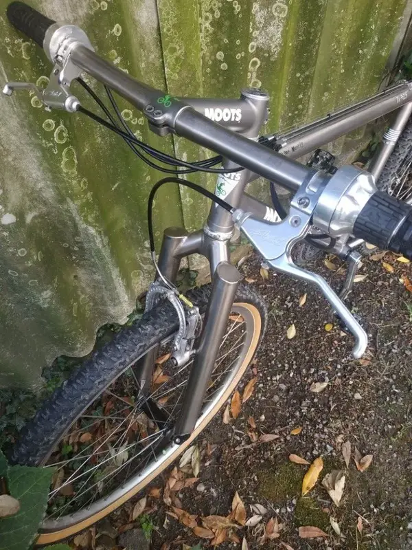 moots rigormootis1.webp
