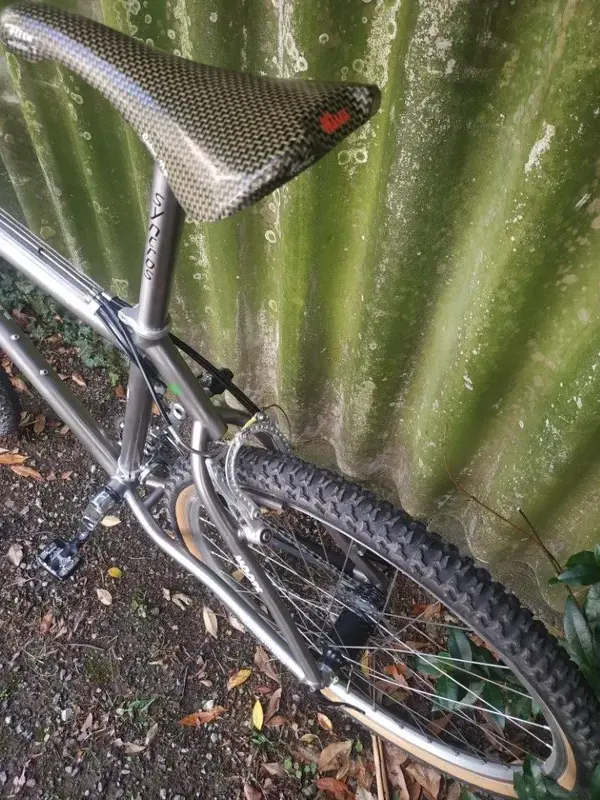 moots rigormootis2.webp