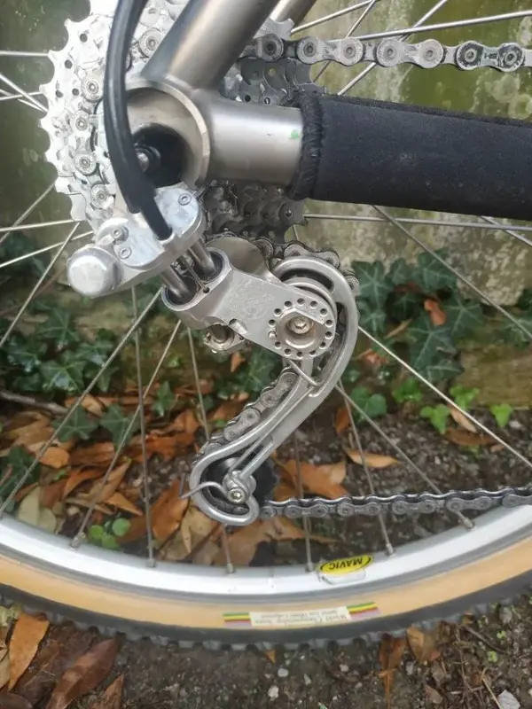 moots rigormootis7.webp