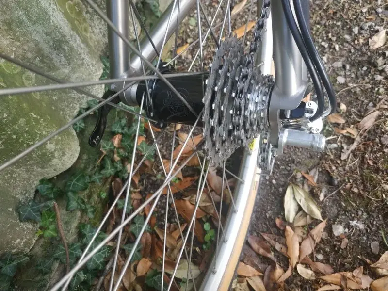 moots rigormootis8.webp