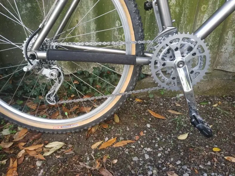 moots rigormootis12.webp