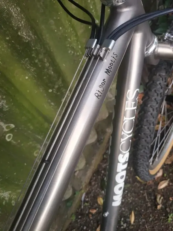 moots rigormootis11.webp