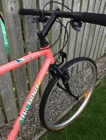 1991 Shogun Trail breaker 2 Retrobike