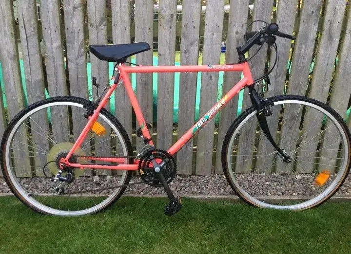 1991 Shogun Trail breaker 2 Retrobike