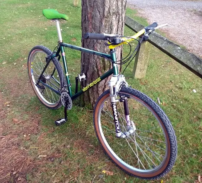 haldon tryout 3.webp
