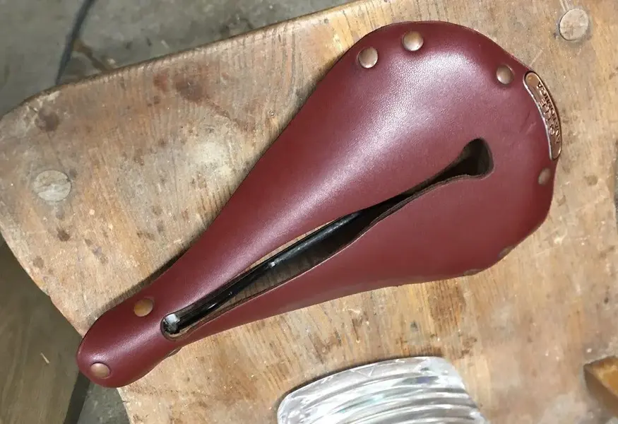 Selle Anotomica.webp