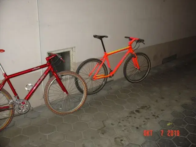 DSC00062.webp