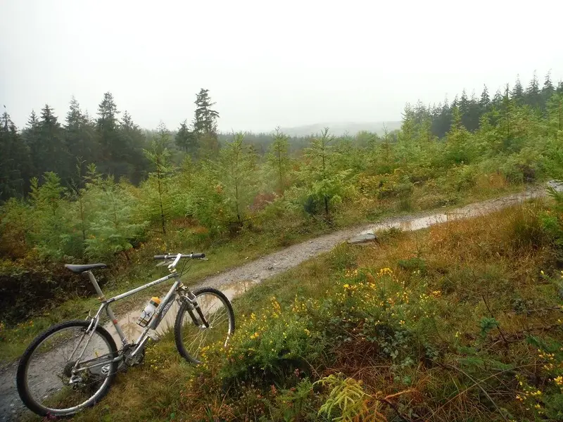 DSCF4264.webp