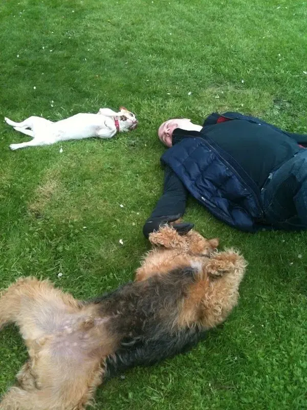 Dog tired.webp