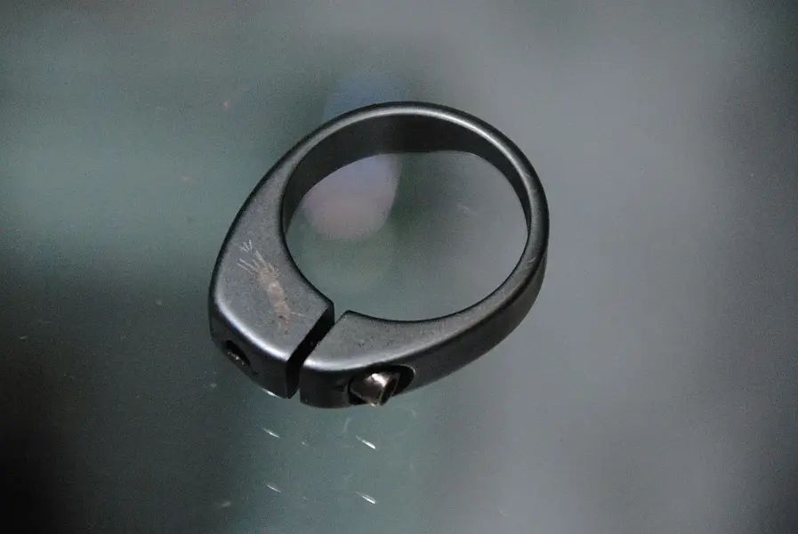 dawg collar too.webp