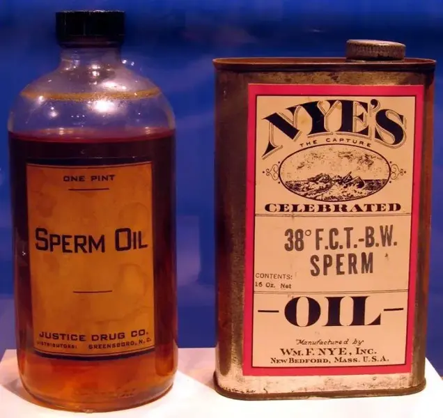Sperm oil bottle and can.webp