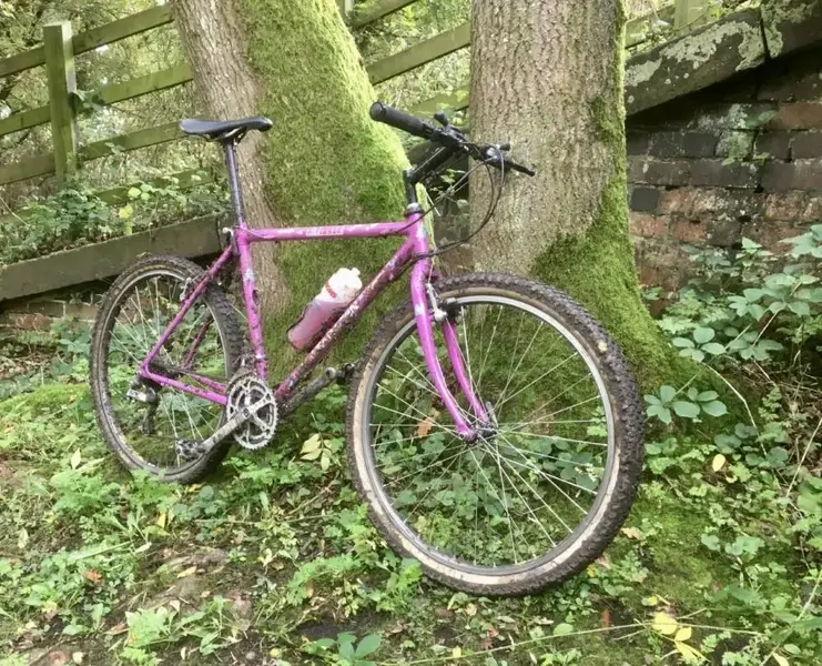 Ashby Canal ride5.webp