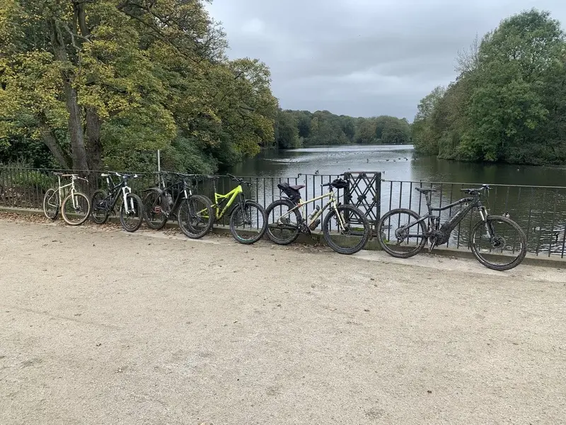 more bikes .webp