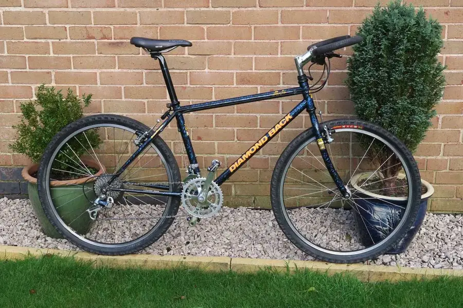 Diamondback1 LR.webp