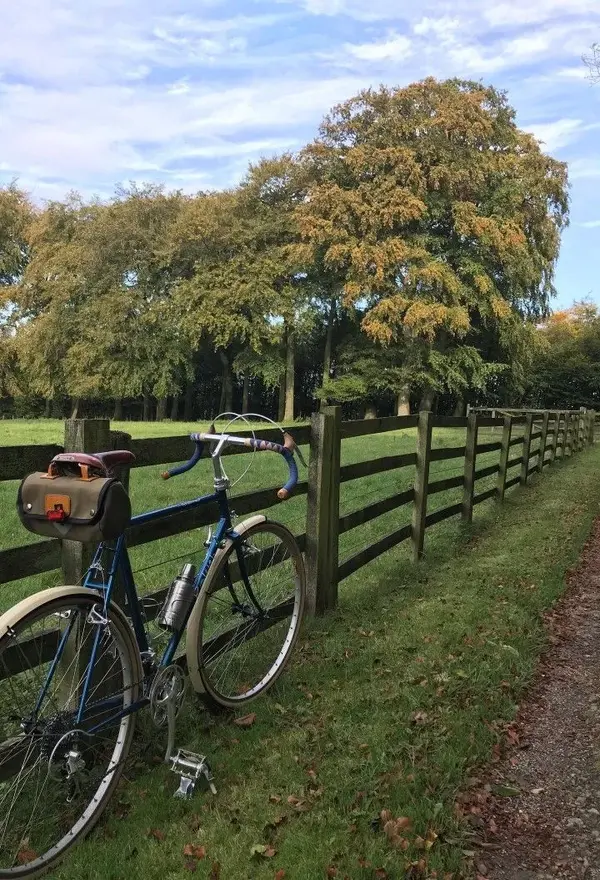 Raleigh Randonneur.webp