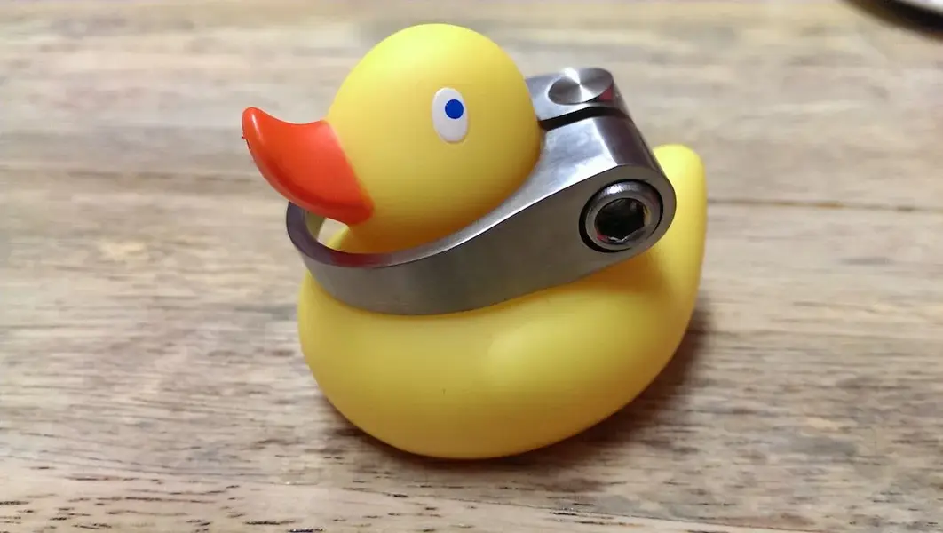 tiduck.webp