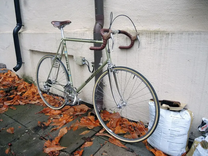 DSCN6742.webp