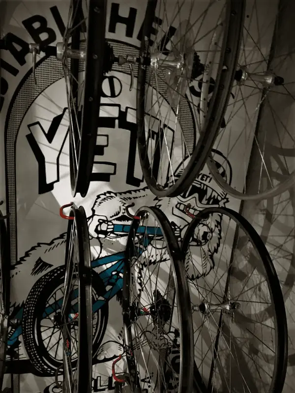 Mavic Or Suntour (2).webp