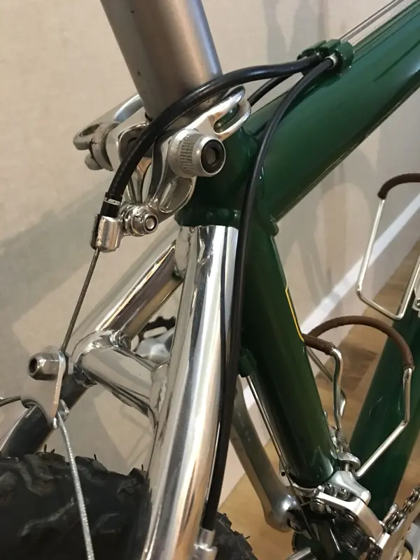 Lotus Campagnolo (6.).webp