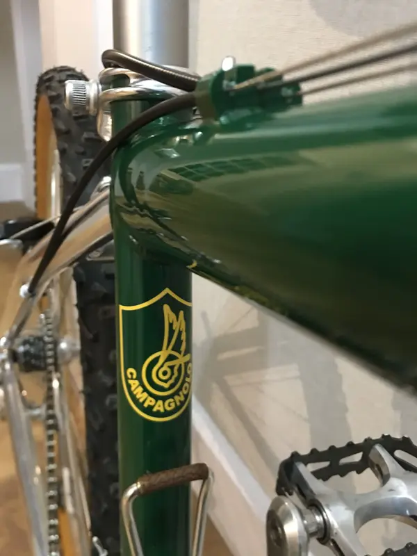 Lotus Campagnolo (4.).webp