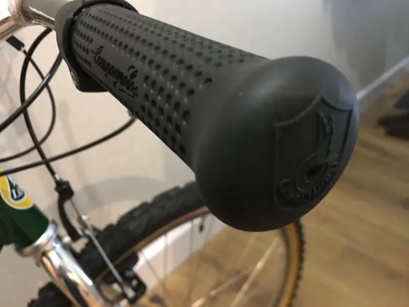 Lotus Campagnolo (12.).webp