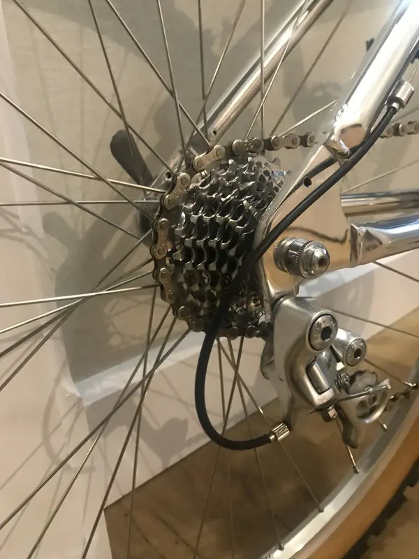 Lotus Campagnolo (11.).webp