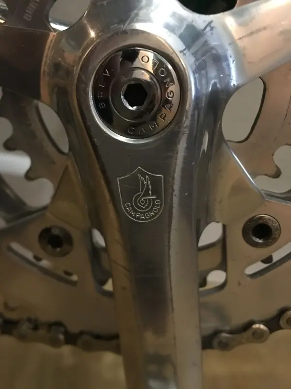 Lotus Campagnolo (10.).webp