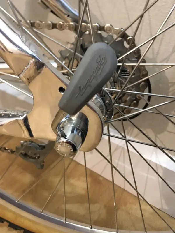 Lotus Campagnolo (17.).webp