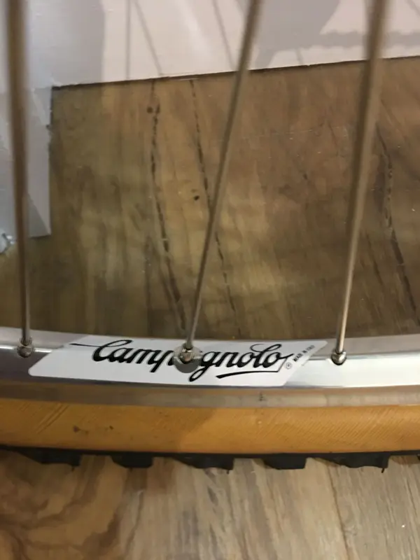 Lotus Campagnolo (16.).webp