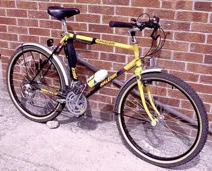 My mates Maverick in Banana team colours1.webp