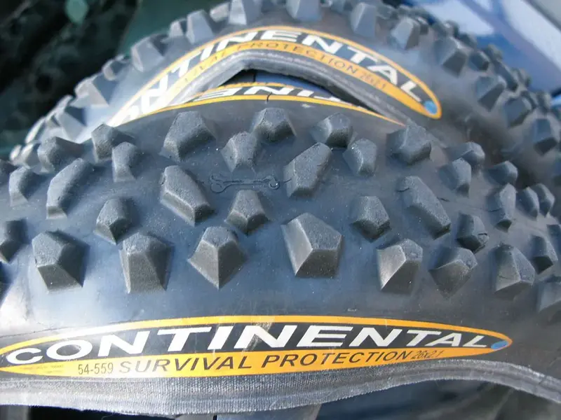 Conti Survivor Detail.webp
