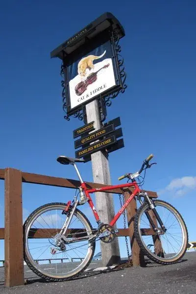 Cat and Fiddle.webp