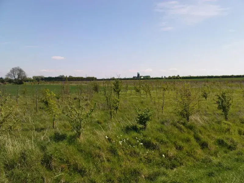 who said Cambridgeshire was flat.webp