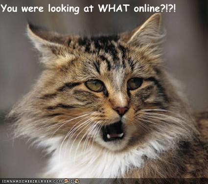 Silly online cat.jpg