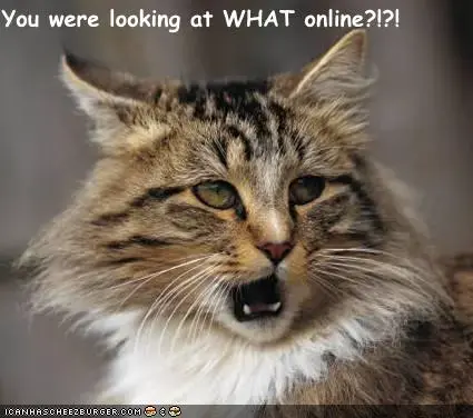 Silly online cat.webp