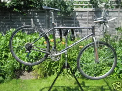 1994 Cinder Cone size 19.webp