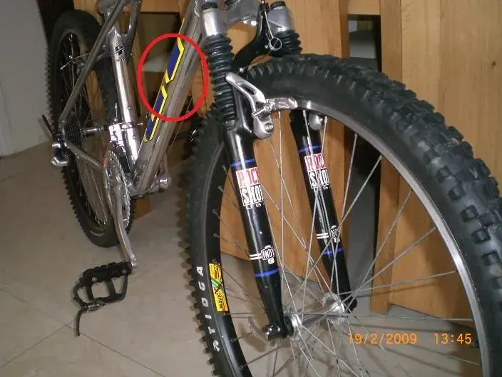 Dent1.webp