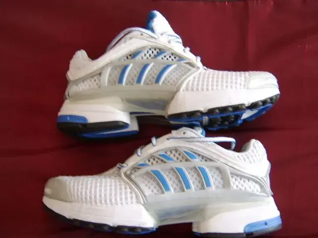 Trainers 003.webp