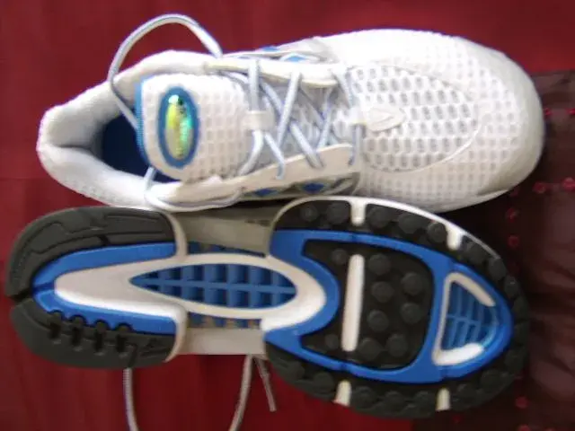 Trainers 004.webp